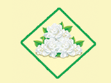 White Jasmine Co.,Ltd