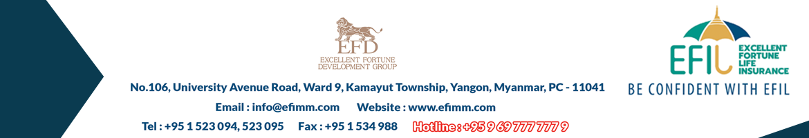 Excellent Fortune Insurance Co., Ltd. (EFI)