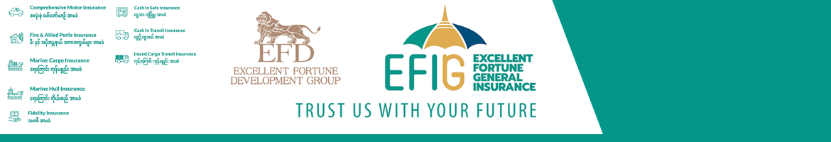 Excellent Fortune Insurance Co., Ltd. (EFI)