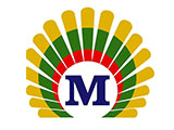 MAST MYANMAR TECHNOLOGY Co., Ltd.