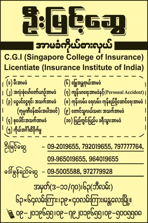 U-Myint-Swe(Insurance-Agents)_0733.jpg