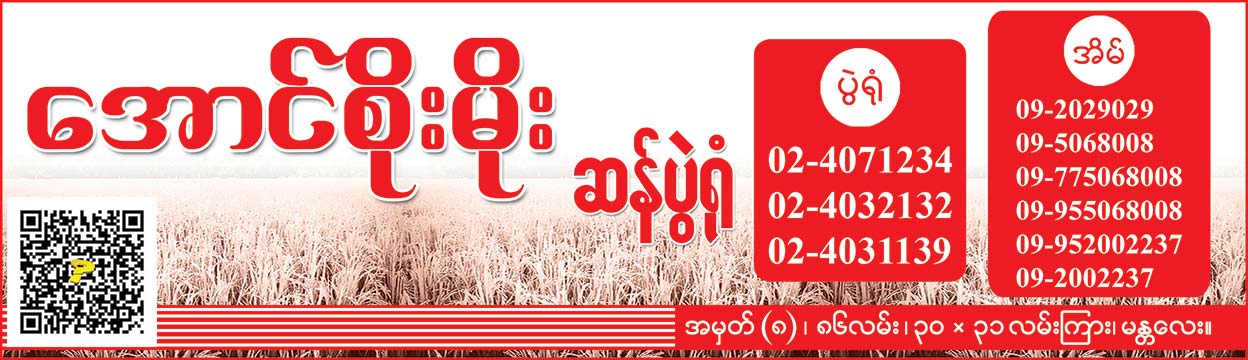 Aung-Soe-Moe(Warehouses-[Rice])_0072.jpg
