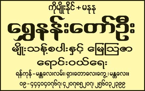 Shwe-Nan-Taw(Agricultural-Chemical-Dealers)_0817.jpg