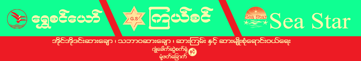 Shwe Zin Yaw
