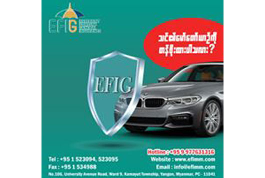 Excellent Fortune Insurance Co., Ltd. (EFI) 4.jpg
