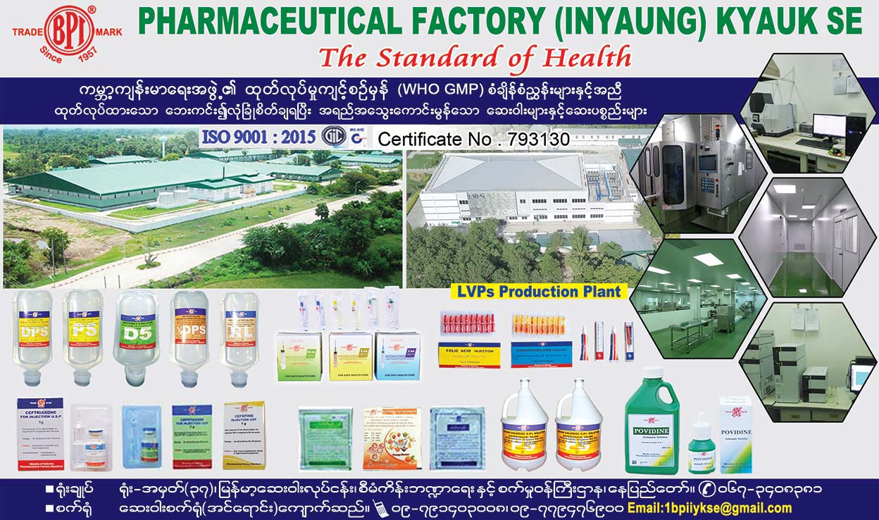 Myanmar-Naing-Ngan-Say-War-Set-Yone(In-Young)(Pharmaceutical-Manufacturers)(b)_0814 (1).jpg