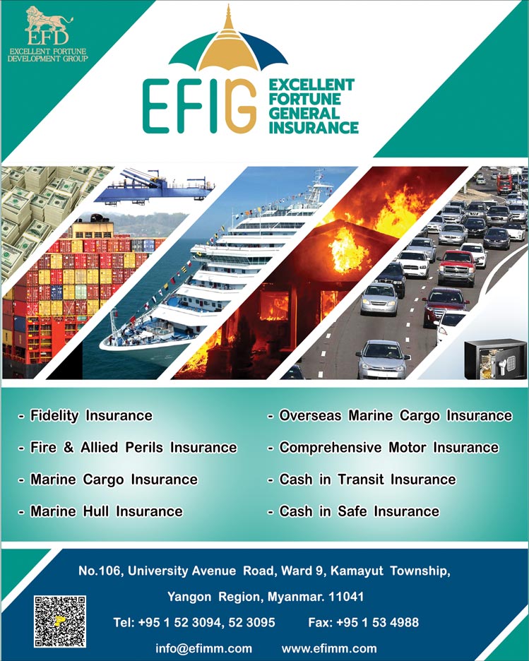 Excellent Fortune Insurance Co., Ltd. (EFI) 1.jpg
