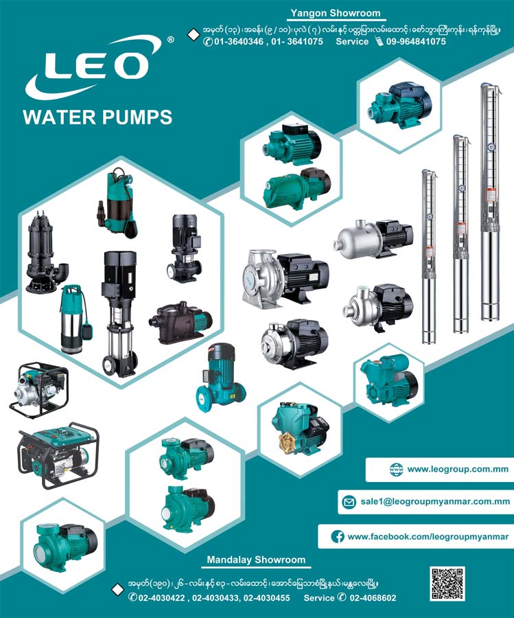 Leo(Water-Pipes-&-Accessories)_1856.jpg