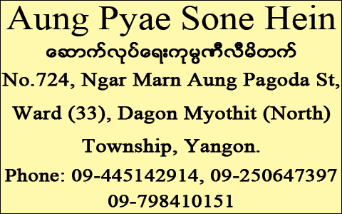 Aung-Pyae-Sone-Hein_Construction-Services_232.png